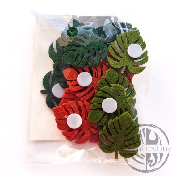 Monstera plstěné samolepky