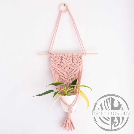 Závěs starorůžový