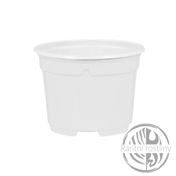 Květník sadbový d9cm - bílý