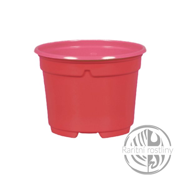Květník sadbový d9cm - červený