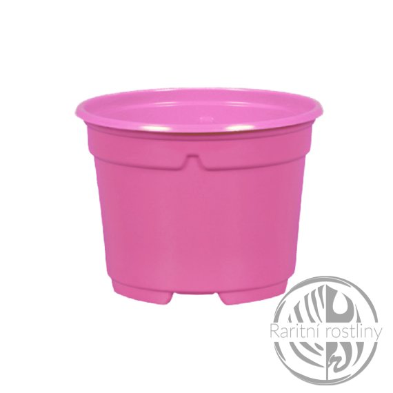 Květník sadbový d9cm - růžový