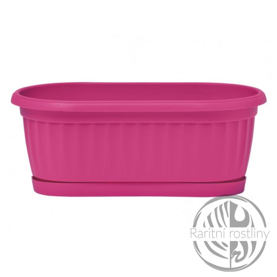  Truhlík MINISIMILCOTTO samozavlažovací plastový 22cm 