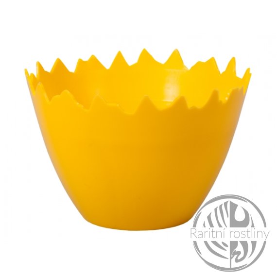  Obal na květník SKOŘÁPKA plastový d9x7cm 