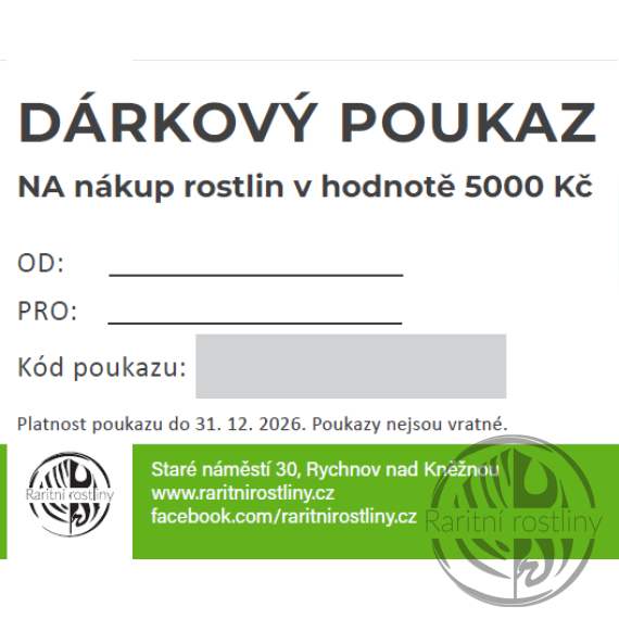 Dárkový poukaz v hodnodě 5000