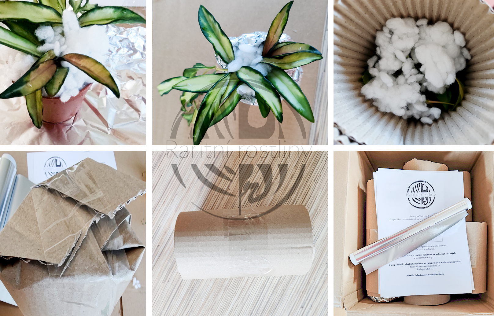 Jak se balí rostliny pro odeslání?